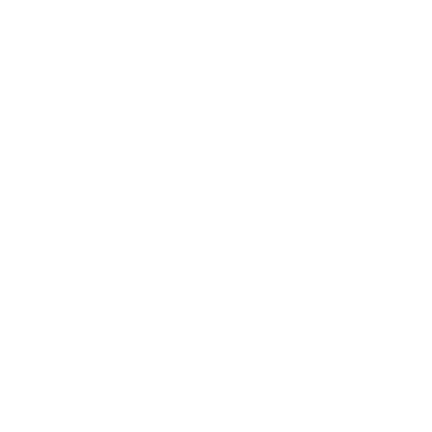 Nordinstorm logo